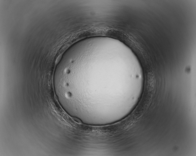 X0000116110641200912071323