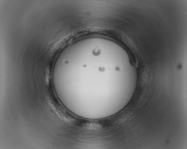 X0000116110644200912071323