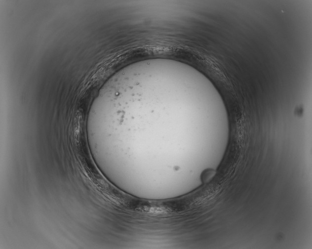 X0000116110645200912071323