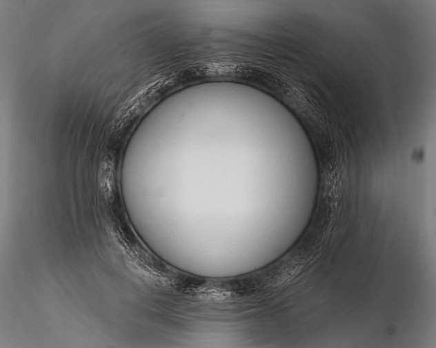 X0000116110648200912071323