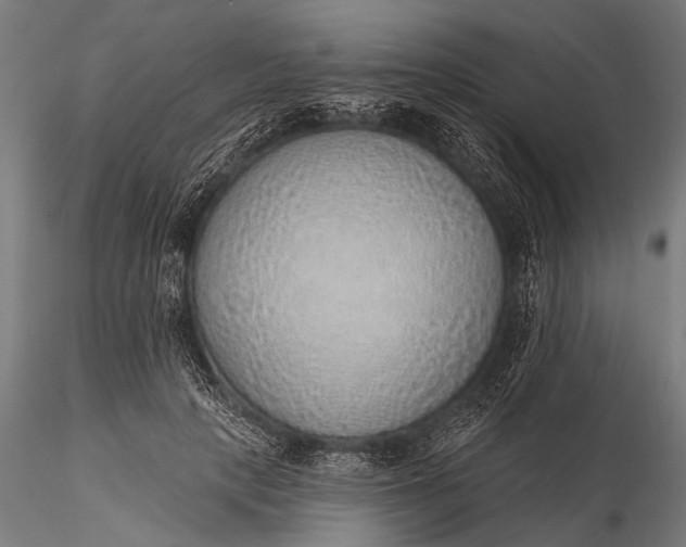 X0000116110649200912071323