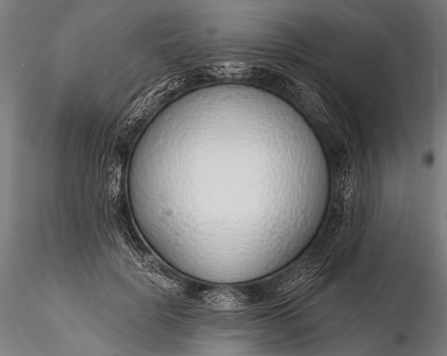 X0000116110652200912071323