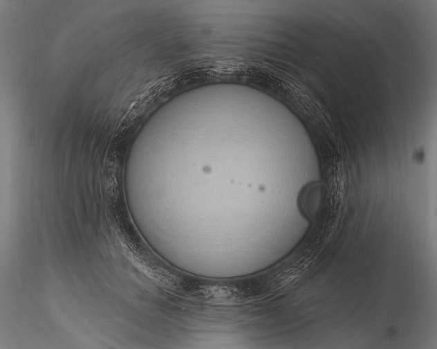 X0000116110654200912071323