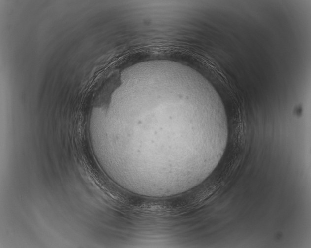 X0000116110655200912071323