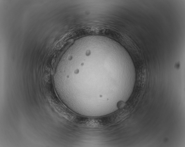 X0000116110656200912071323