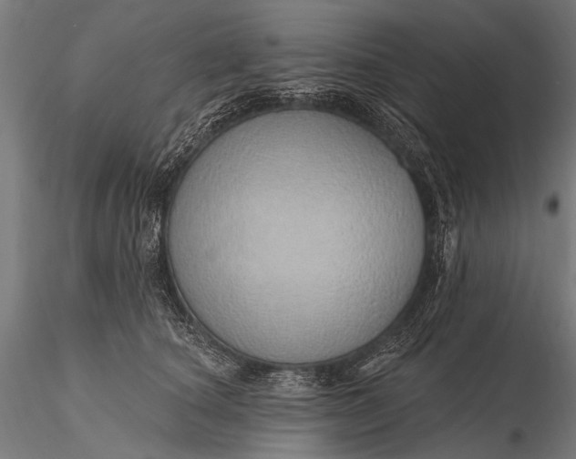 X0000116110660200912071324