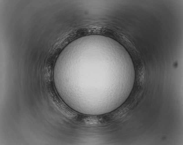 X0000116110661200912071324