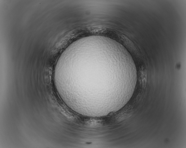 X0000116110664200912071324