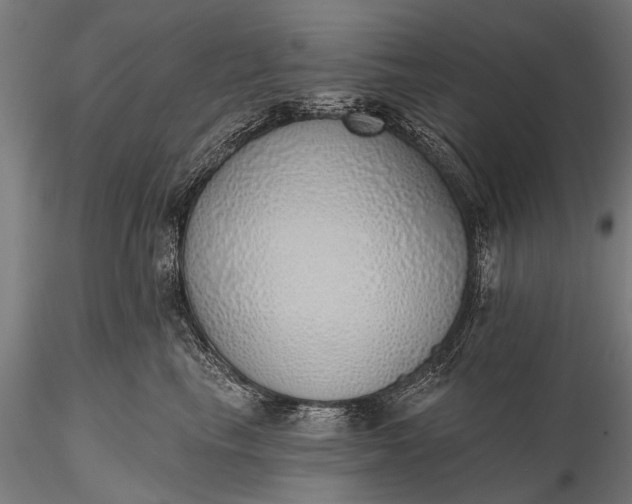 X0000116110665200912071324