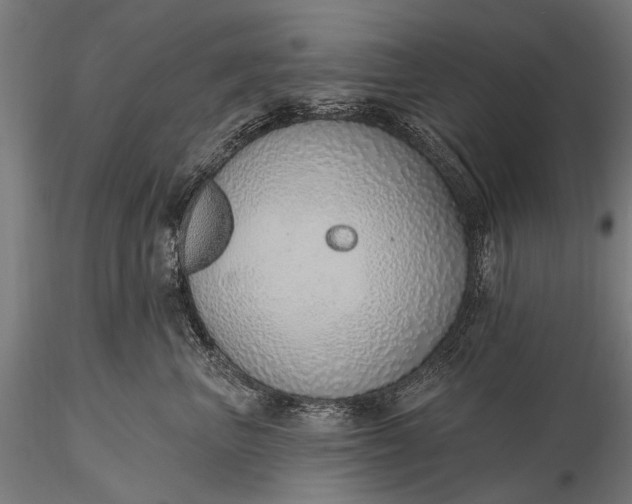 X0000116110667200912071324