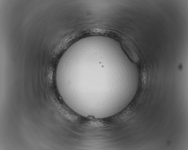 X0000116110668200912071324