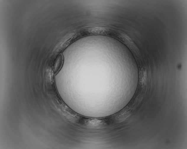 X0000116110669200912071324