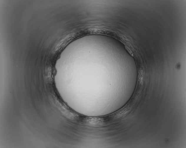 X0000116110670200912071324