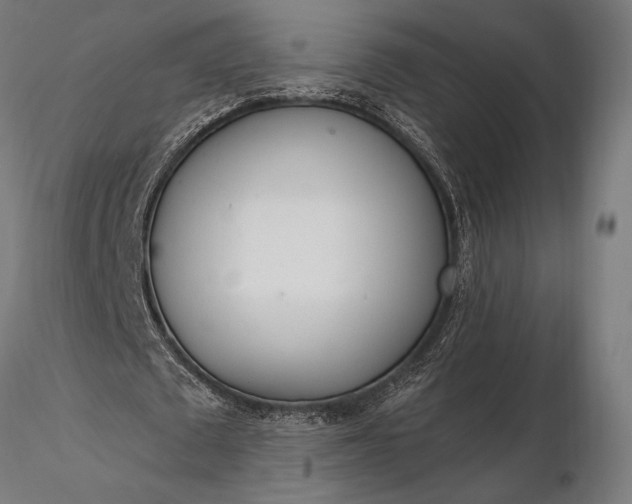 X0000116110673200912071323