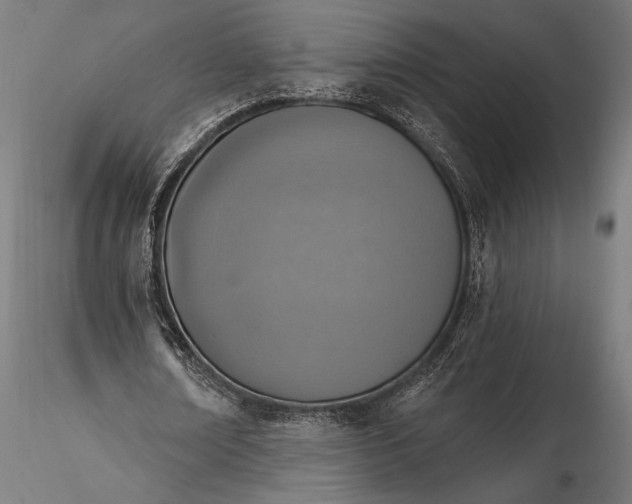 X0000116110674200912071323