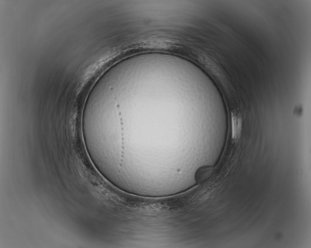 X0000116110675200912071323