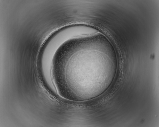 X0000116110676200912071323