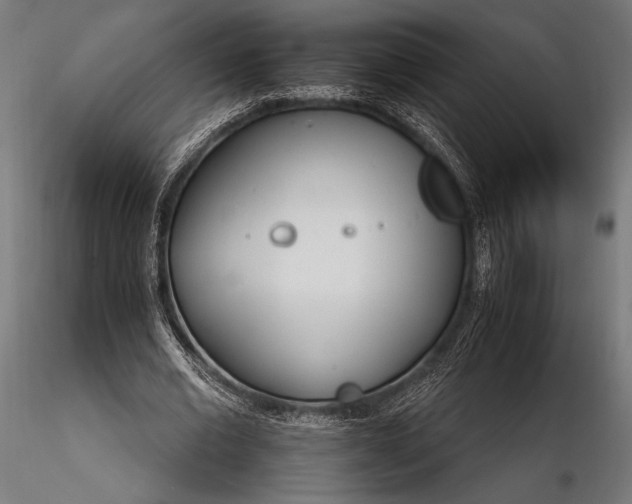 X0000116110677200912071323