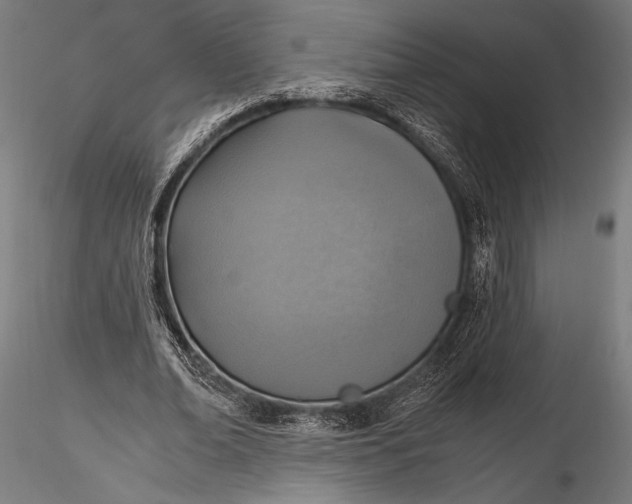 X0000116110678200912071323