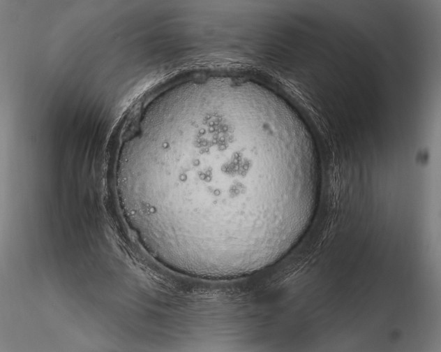 X0000116110679200912071323