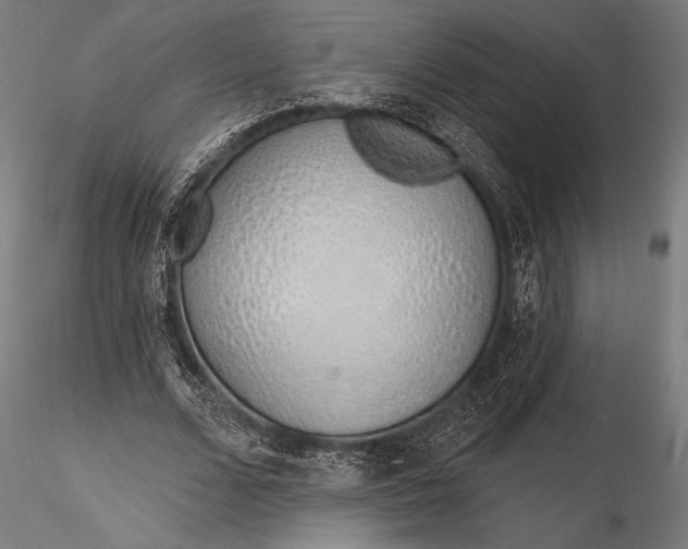 X0000116110680200912071323