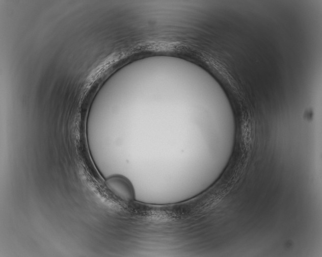 X0000116110682200912071323