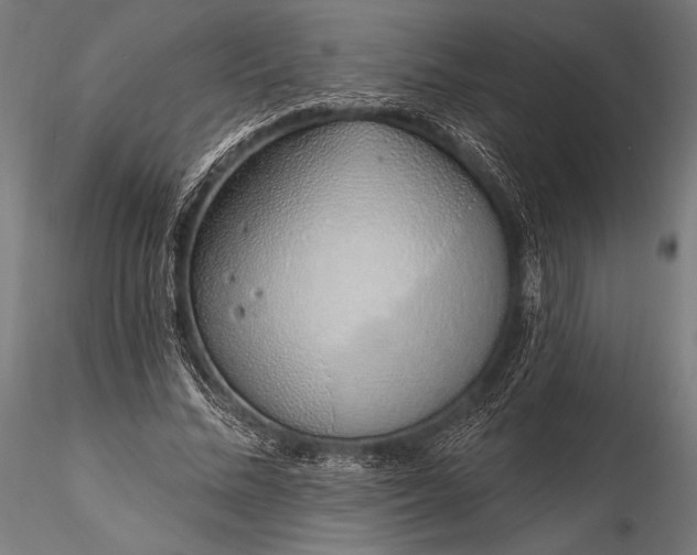 X0000116110684200912071323