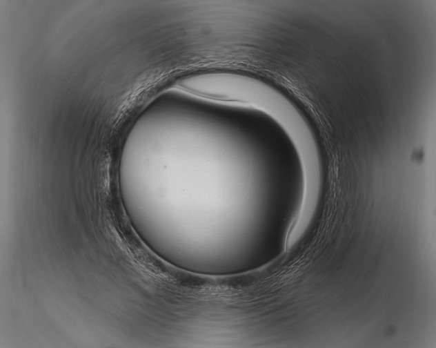 X0000116110685200912071323