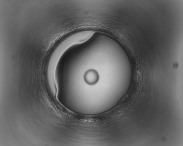 X0000116110688200912071323