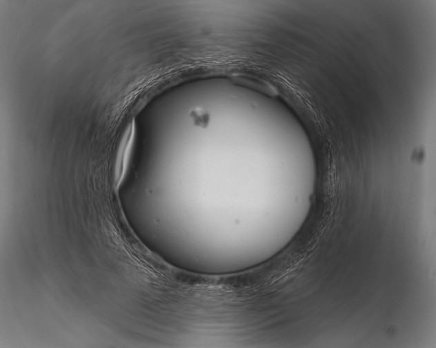 X0000116110689200912071323