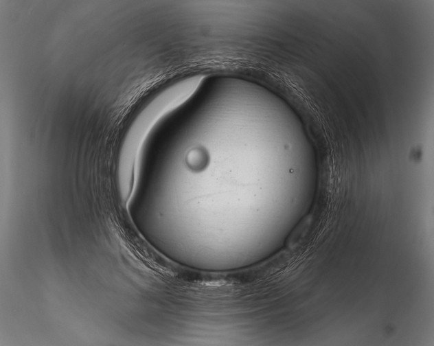 X0000116110692200912071323