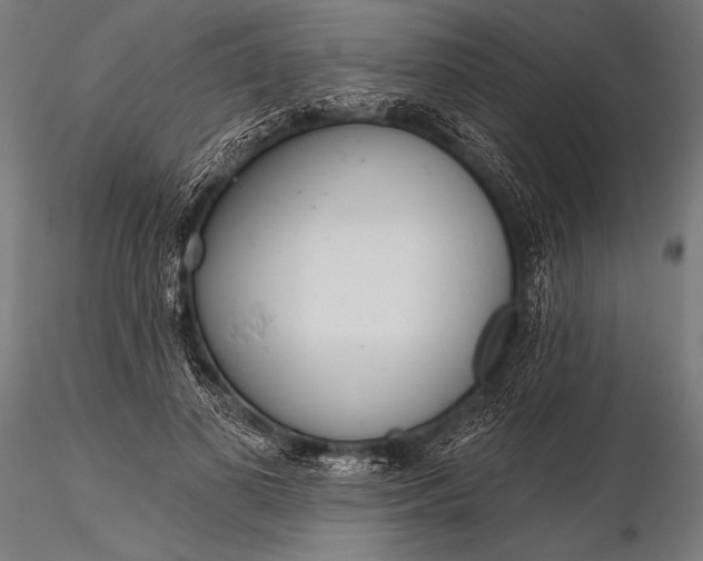 X0000116110693200912071323