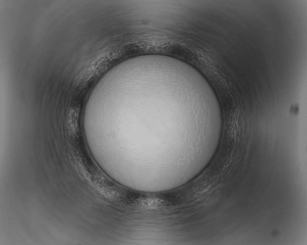 X0000116110695200912071323