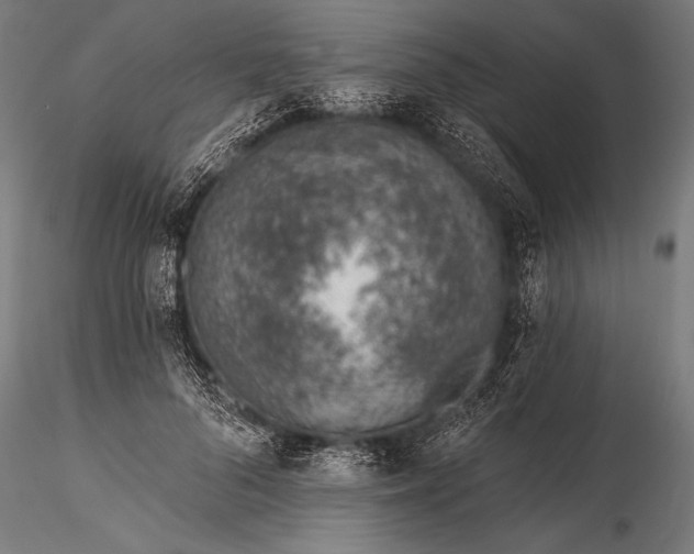 X0000116110696200912071323