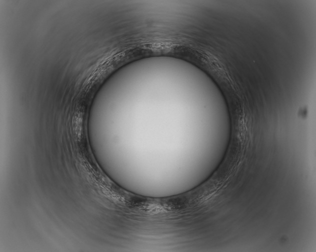 X0000116110697200912071323