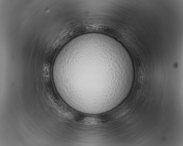 X0000116110699200912071322