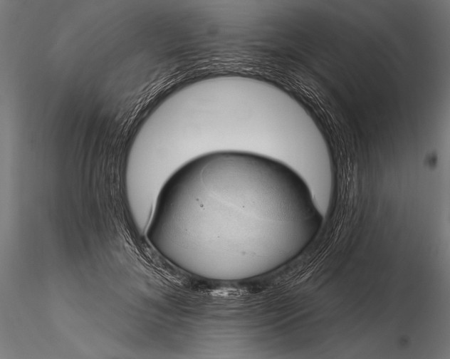 X0000116110700200912071322