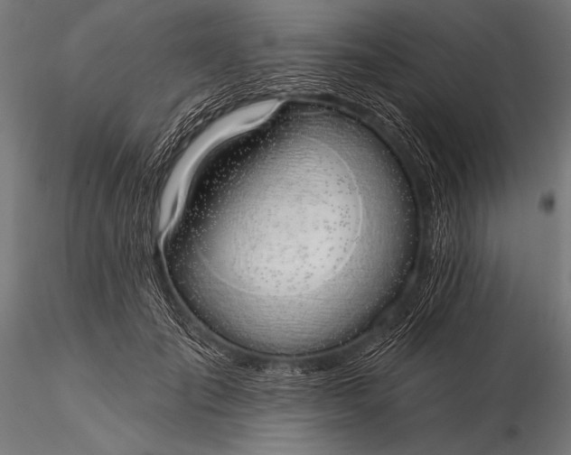 X0000116110701200912071322