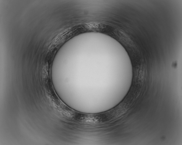 X0000116110702200912071322