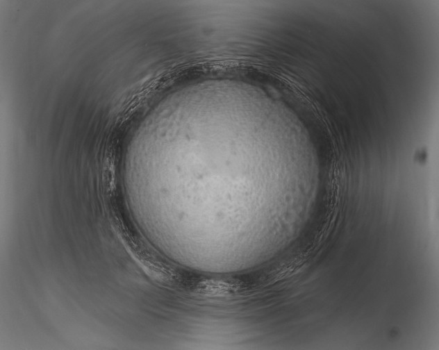 X0000116110703200912071322