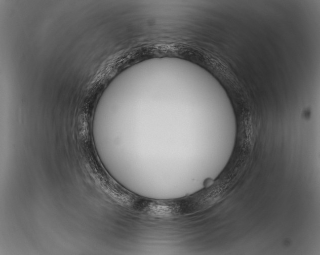 X0000116110706200912071322