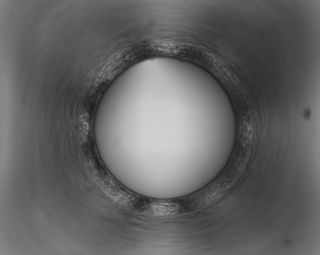 X0000116110707200912071322