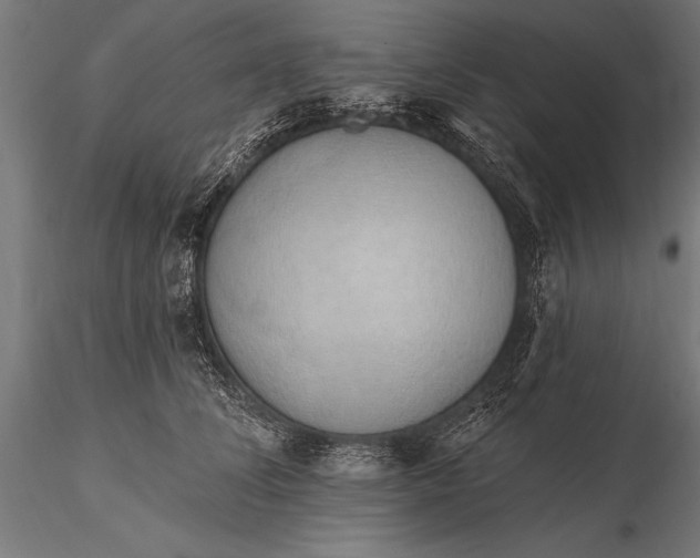 X0000116110708200912071322