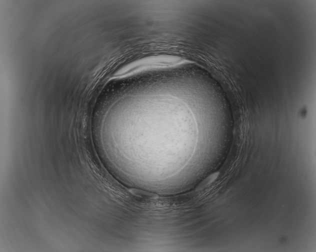 X0000116110709200912071322