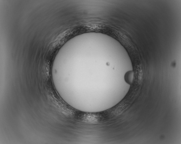 X0000116110710200912071322