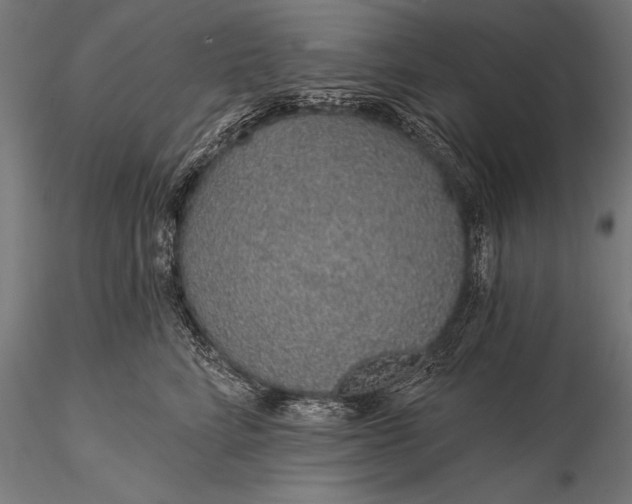 X0000116110712200912071322