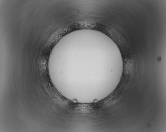 X0000116110713200912071322