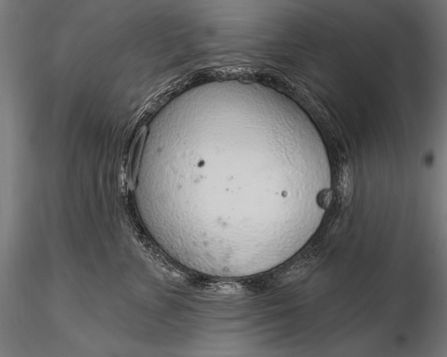 X0000116110715200912071322