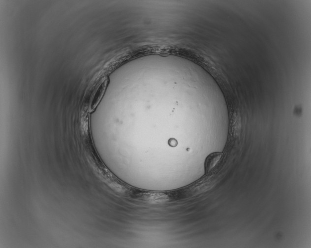 X0000116110719200912071322