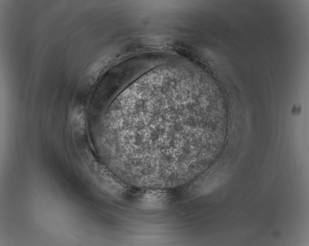 X0000116110720200912071322